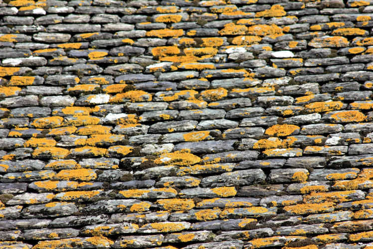 Ravalement et Traitement de Façade XPR Rénovation